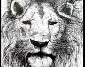 Ink Nature Illustration Lion with Mane Original Drawing Art by Laurie Rohner