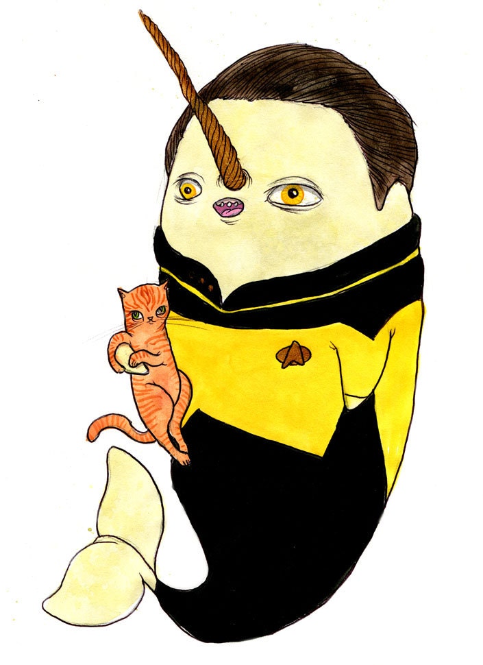 Data Narwhal