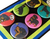 Rottweiler Silly Dog Magnet Set