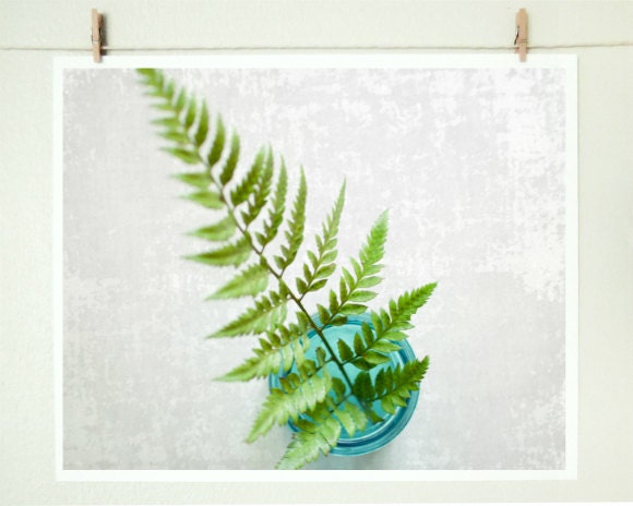 Simply - Fern still life - Fine Art Photography print - kitchen decor - minimal modern wall art - aqua teal blue - fresh green wall art