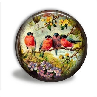 Buy 3 Get The 4th Free - Pocket Mirror - VINTAGE BIRDIES