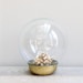 ON HOLD  Vintage Glass Terrarium Display Dome