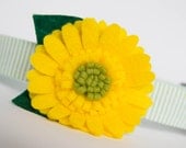 Yellow Gerber Daisy Felt Flower Dog Collar
