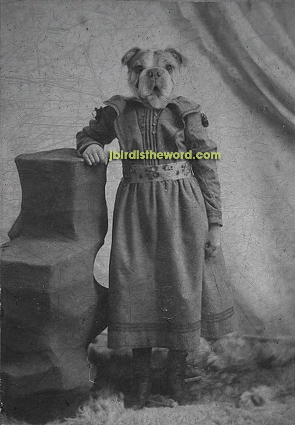 5x7 Custom Vintage Antique photograph rendering of your pet FREE SHIPPING in the USA