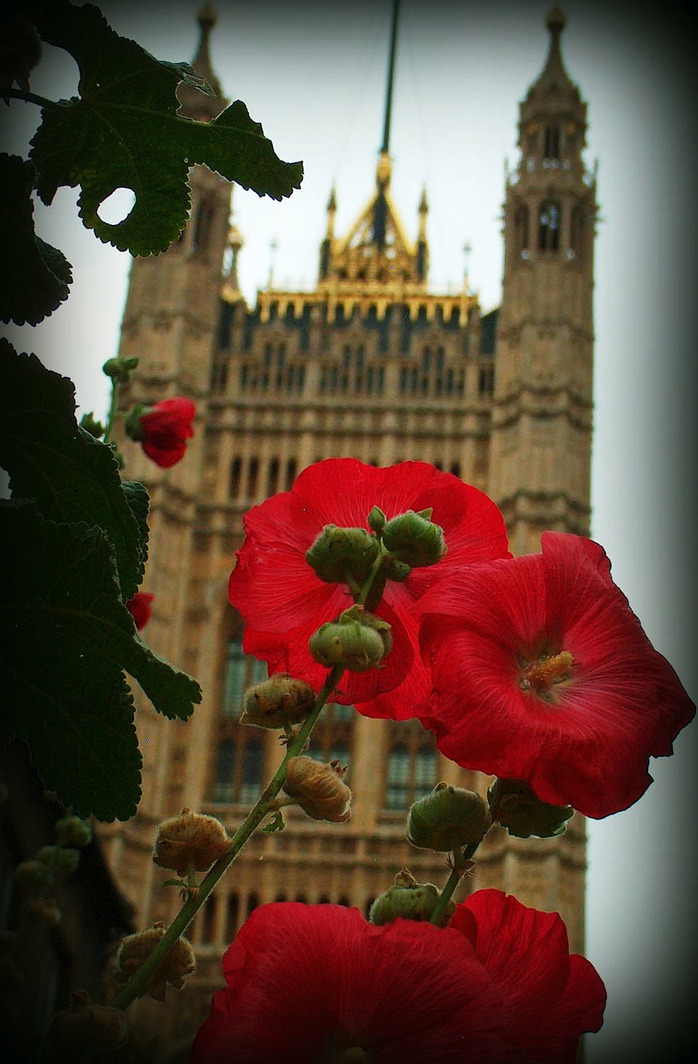 Travel Photography, 8 x 10, London, Westminster Abbey Gardens, Color