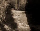 11 X 14 Horse Sepia Giclee Photo Montage