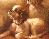 Cavalier King Charles Spaniel Puppies Dogs Cards Notecards Puppy Dog
