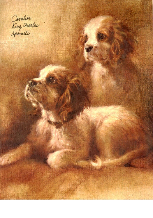 Cavalier King Charles Spaniel Puppies Dogs Cards Notecards Puppy Dog