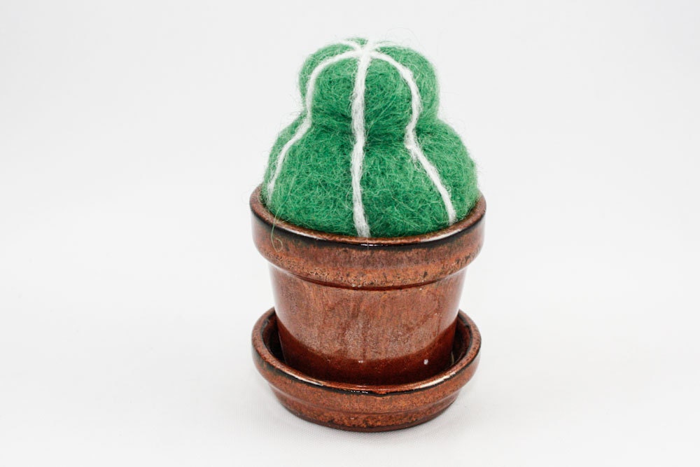 Felted Cactus