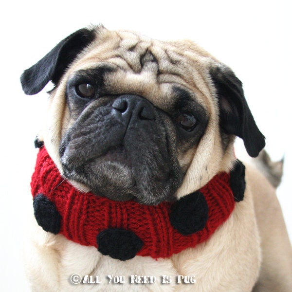 Lovely Ladybug Knit Collar for Dogs