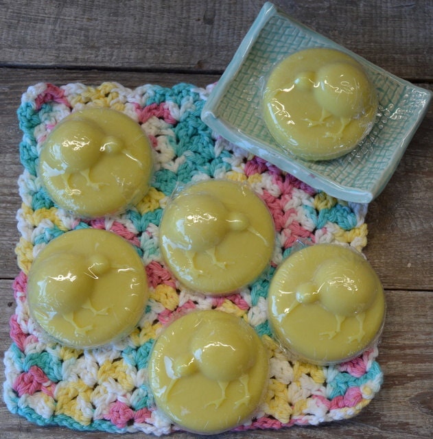 Tangerine Kiwi Bird Soap