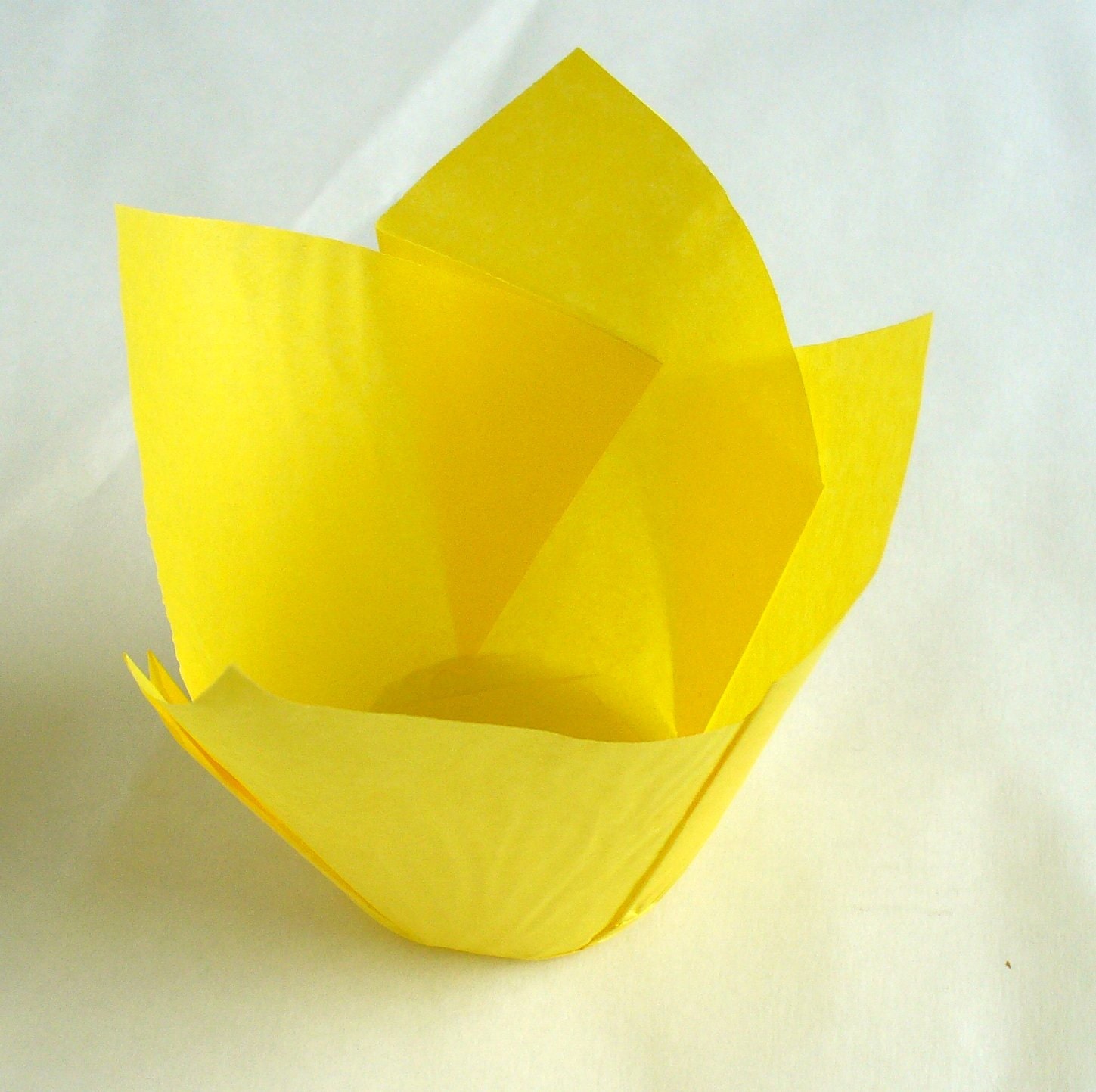 Bright Yellow Tulip Muffin Case 50 in pack - MarmaladySupplies
