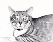Cat pencil portrait 8x10 original drawing