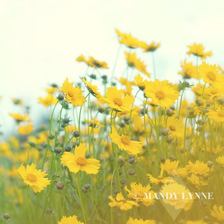 Gather joy