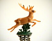sale - Deer Spirit. Woods collection. shapeshifter ring. Miniature curio cabinet by KarolinFelix
