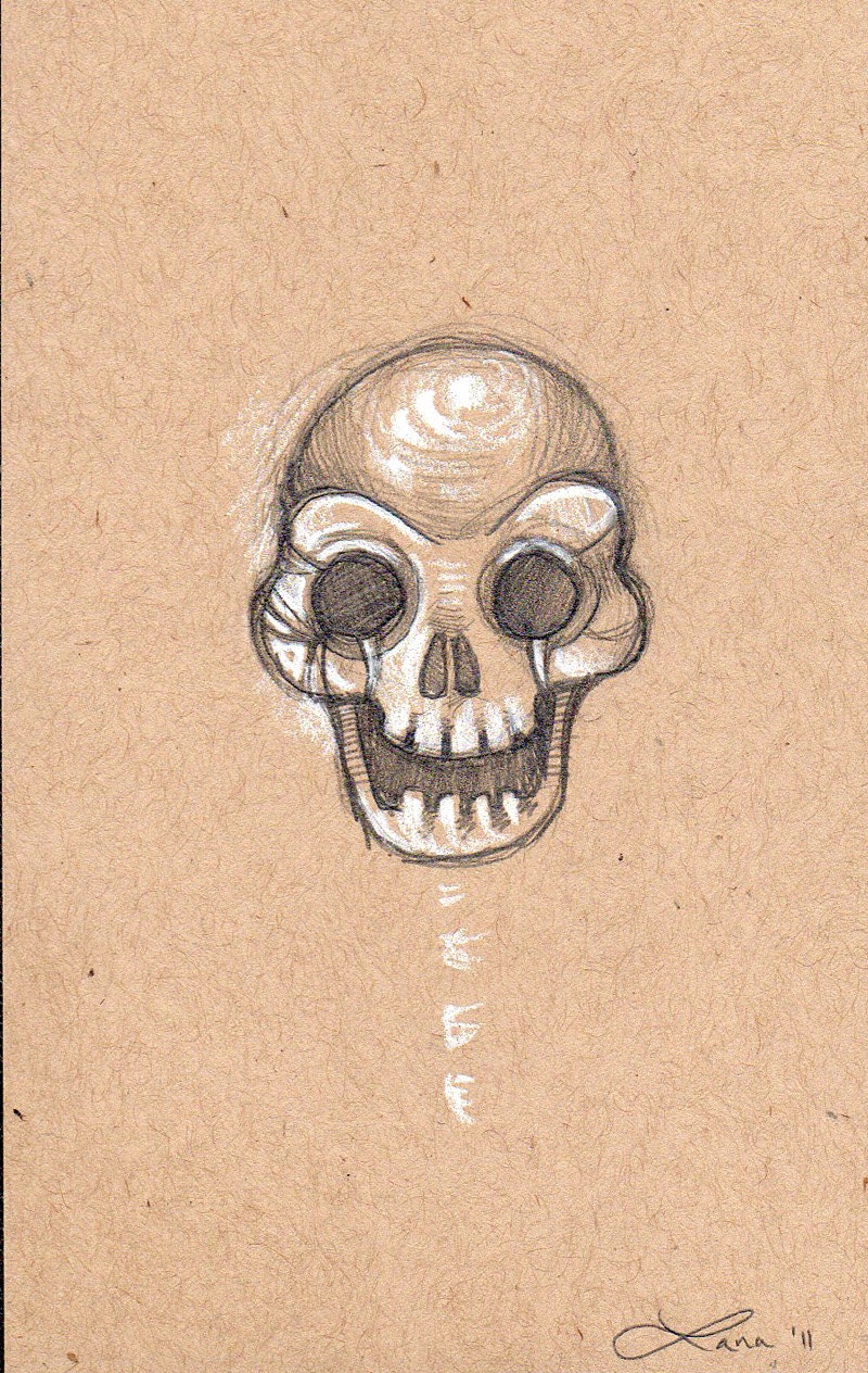 Skull Sketch - Framed original Graphite