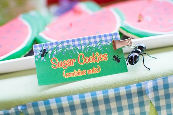 Picnic Food Sign Tent (Red, Blue, Green, Yellow) x 4 Il_570xn