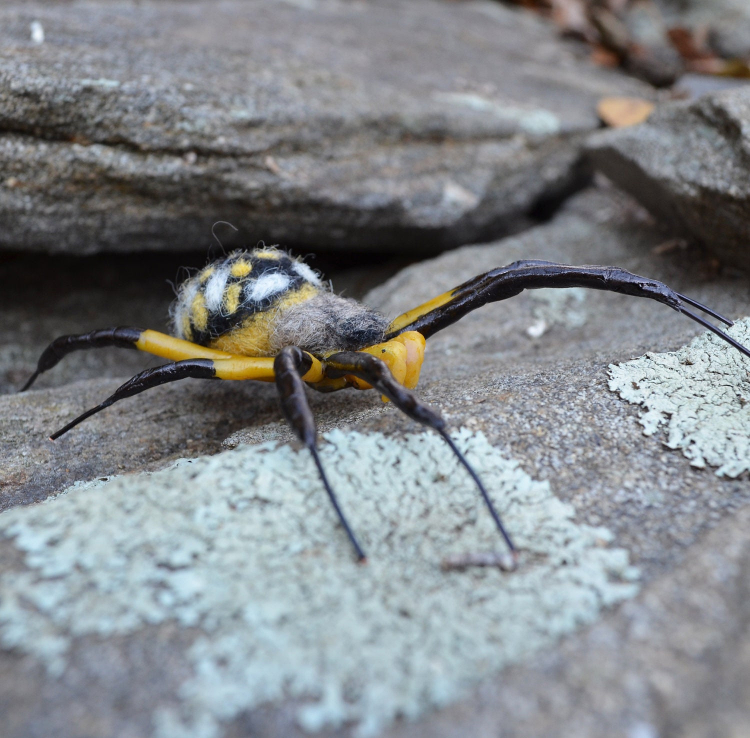 Arachnid sculpture, Yellow and Black Garden Spider, life size needle felted fiber art