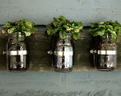 Mason Jar Wall Planter / Organizer Decor