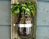 Mason Jar Wall Planter / Organizer Decor
