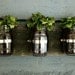 Mason Jar Wall Planter / Organizer Decor