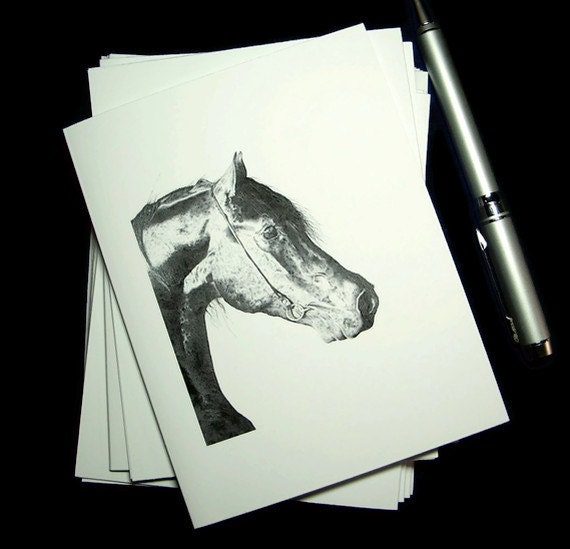 Arabian Horse Head Portrait Artwork Note cards Equine Art Drawing Greeting Stationery Thank You Blank Card  - Set of 6 w/ Envelopes