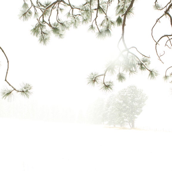 Minimal White Fine Art Photography Winter Snow Landscape 8x8 - lucysnowephotography