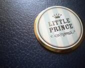 Little Prince Baby Memory Book, Journal and Parenting Reference