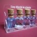 Four kinds of sea animals are in a tiny bottle in a small cute case