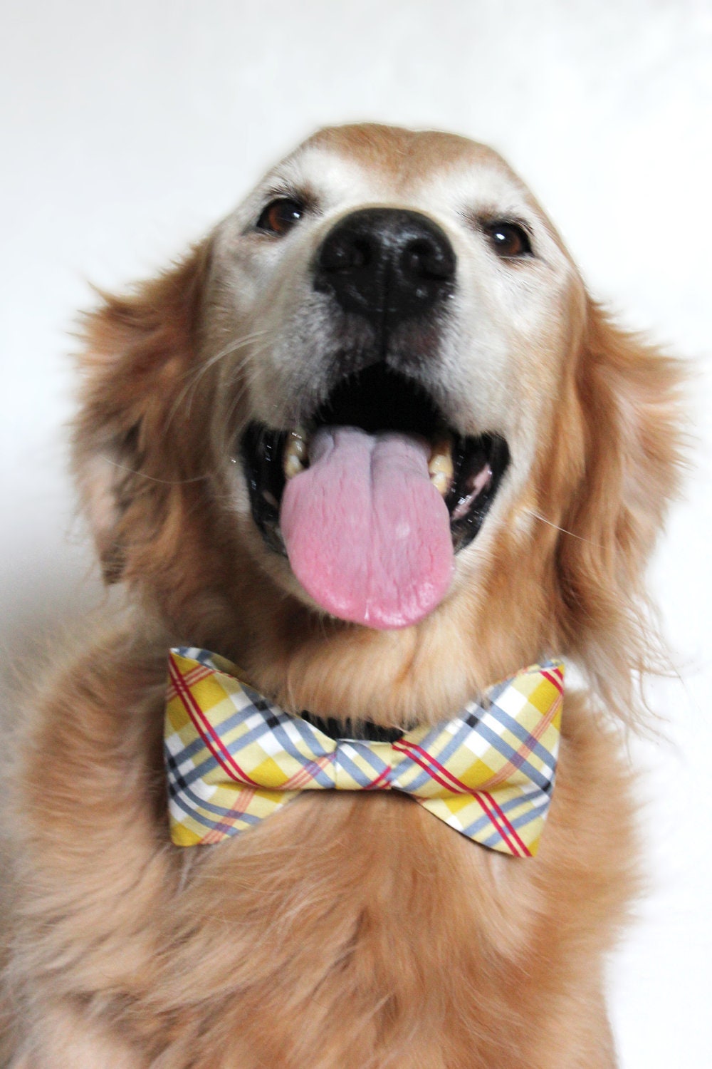 Yellow Plaid Dog Bow-tie - Handmade Dog Accessories - Regular and Large Sizes