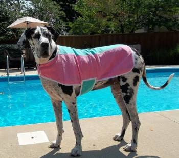 Tootlewear's Dog German Shammy Cooling Coat XXXLarge