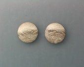 Petrified Palm Wood Cabochon Pair