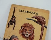 Vintage Children's Book, Vintage Nature Book, Mammals, Esther K. Meeks, Follet Beginning Science Book, 1965