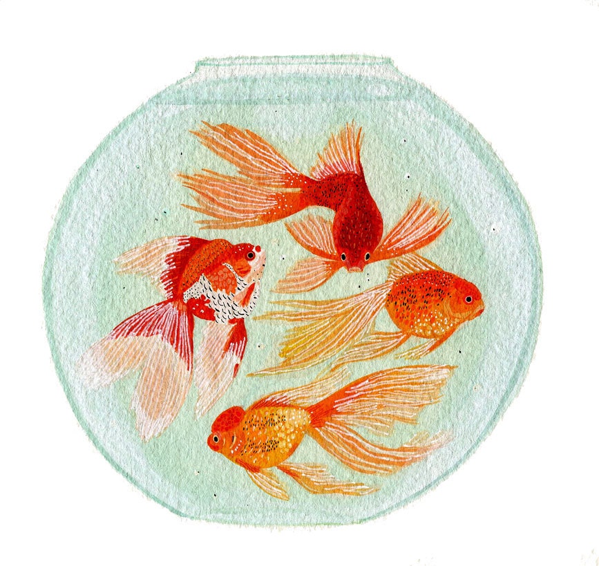 fish bowl