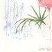 9 by 12 inch original watercolor Flamingo whimsy  bowman On The Pink Trail bird fun