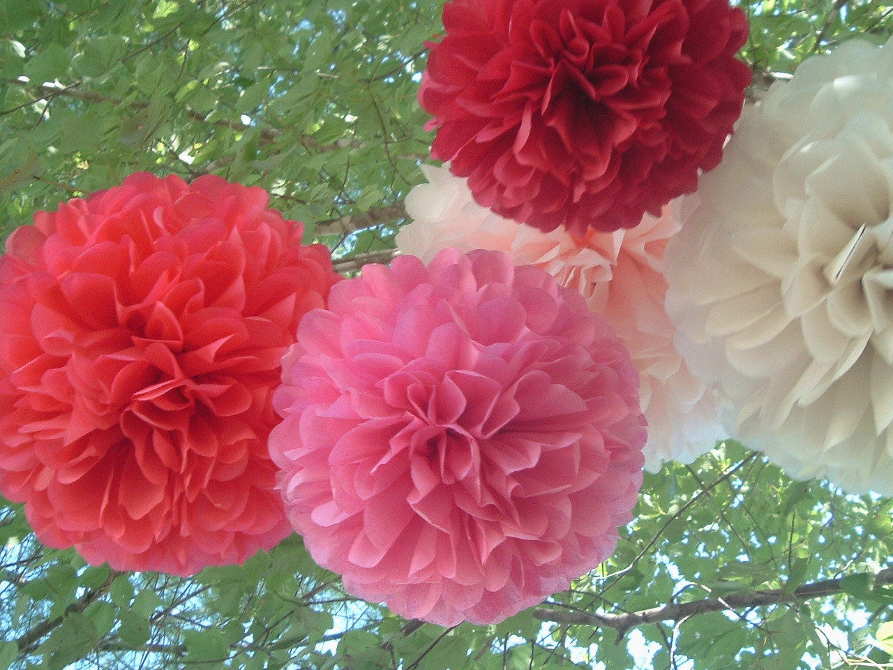 Set of 16Poms. 10 large and 6 medium poms. Pick your colors