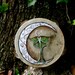 Crescent Moon and Luna Moth Tambourine
