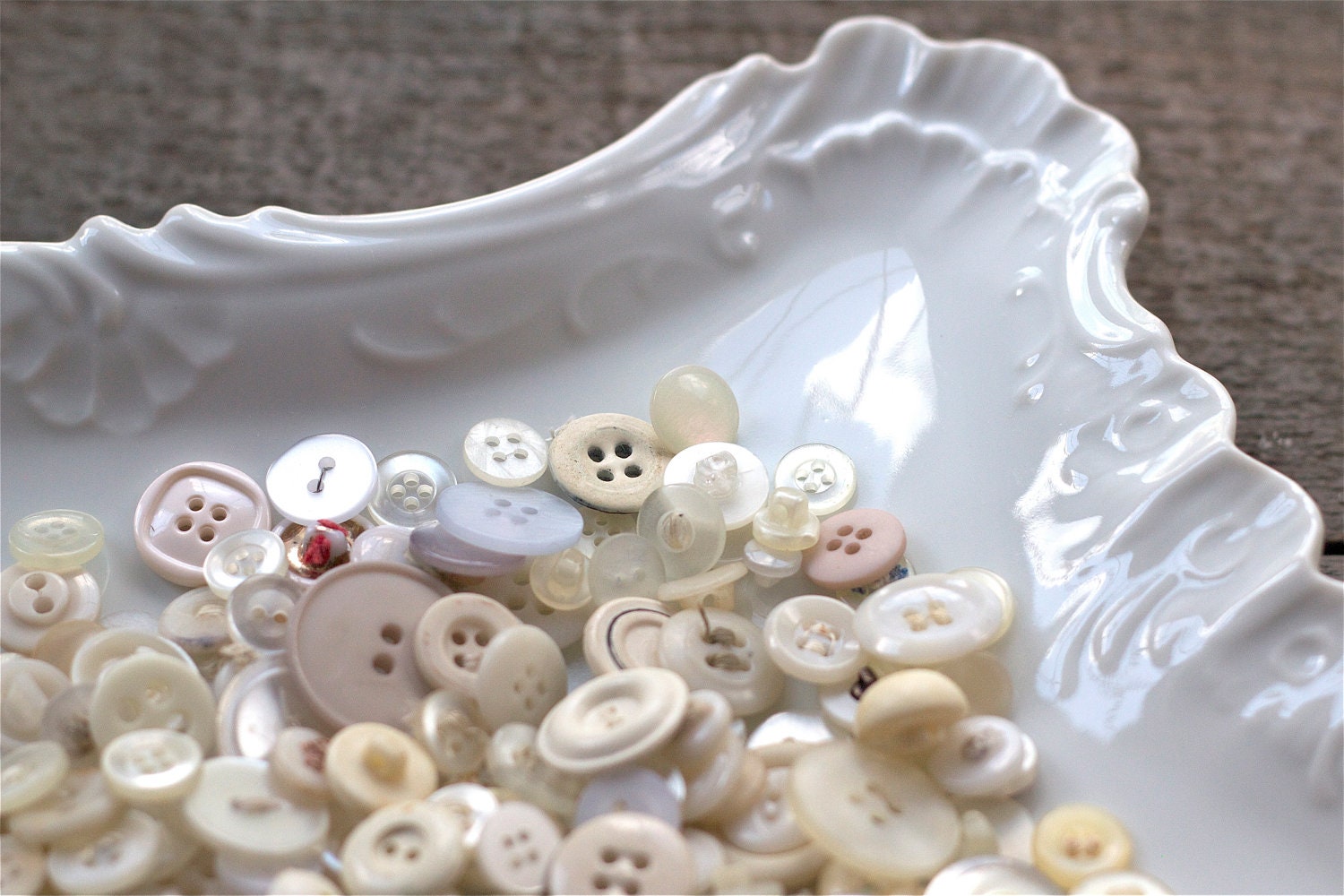 vintage china plate : white wall art by 24pont