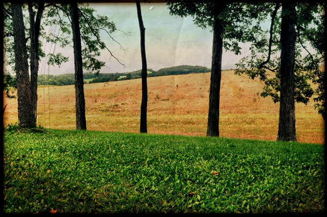 Nature Print Country Photograph- Fine Art Photography Wall Art Print Home Décor Through the Trees 12 x 8