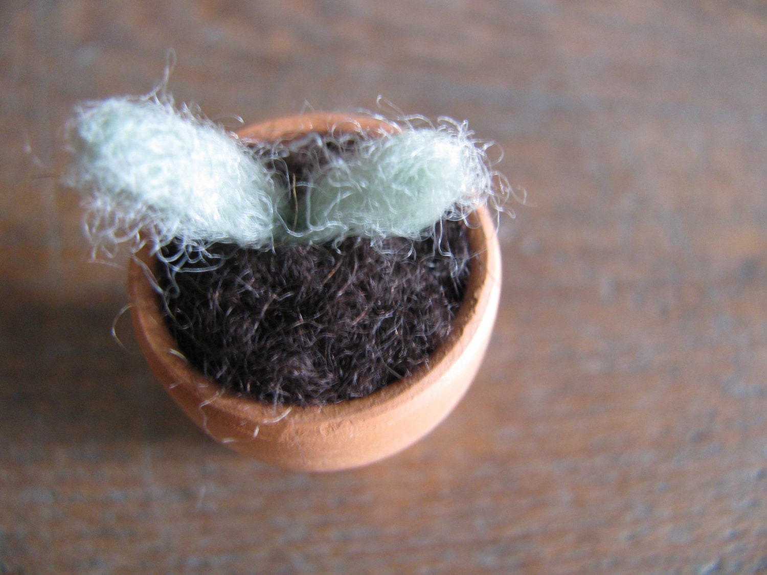 Felted wool seedling in an tiny terra cotta pot