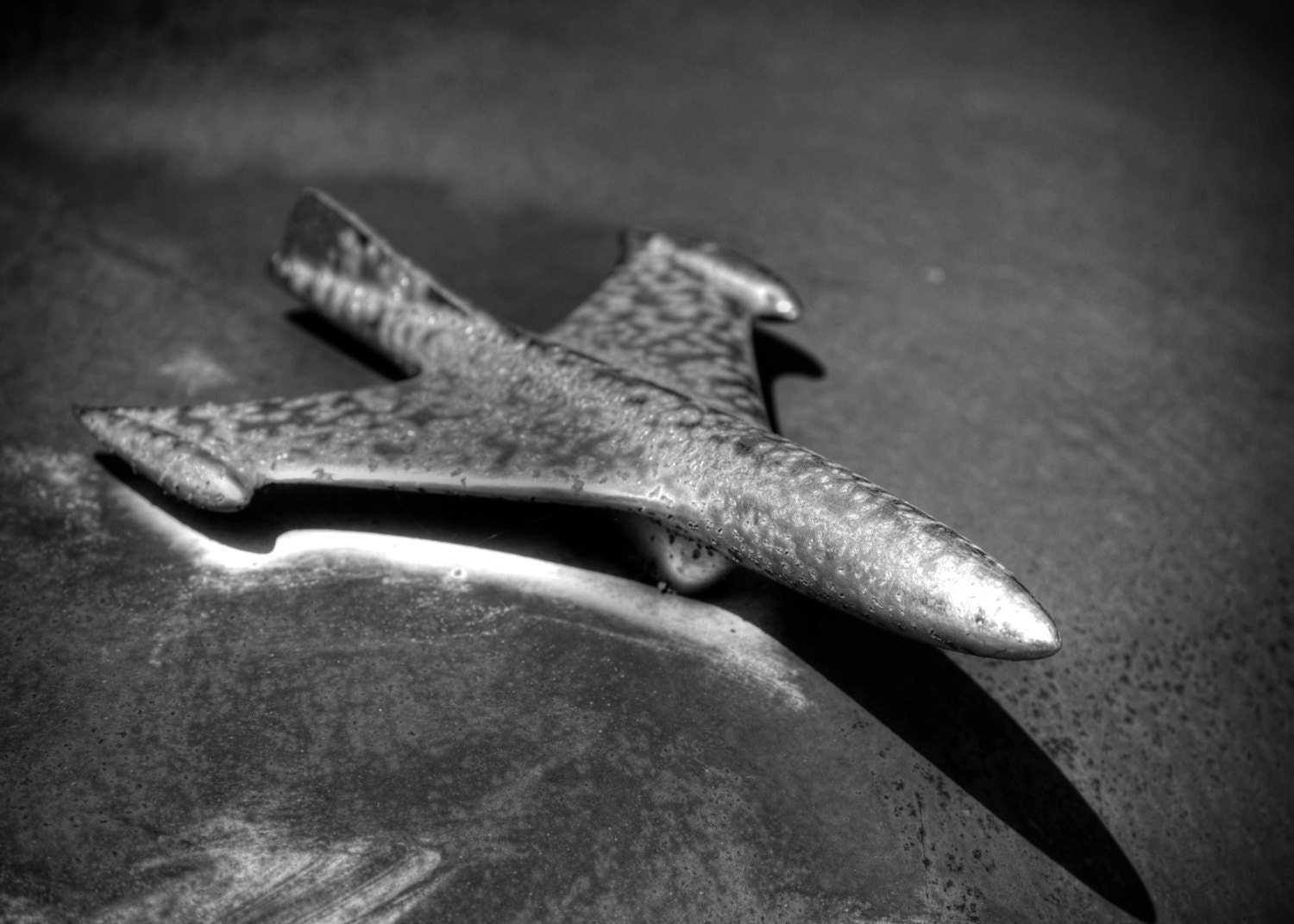 Hood Ornament from 1950's Ford 8x10 Print