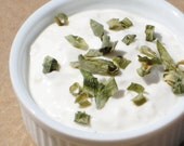 Organic Onion Dip 1 oz - just add sour cream or yogurt - delicious DIY dip for a healthy snack at home / work / picnics