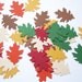 100 Warm Autumn Thanksgiving Oak Leaf punch die cut cutout confetti embellishments - No482