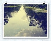 Louisiana photography, manchac swamp, louisiana swamp, bayou, emerald green,  fine art print