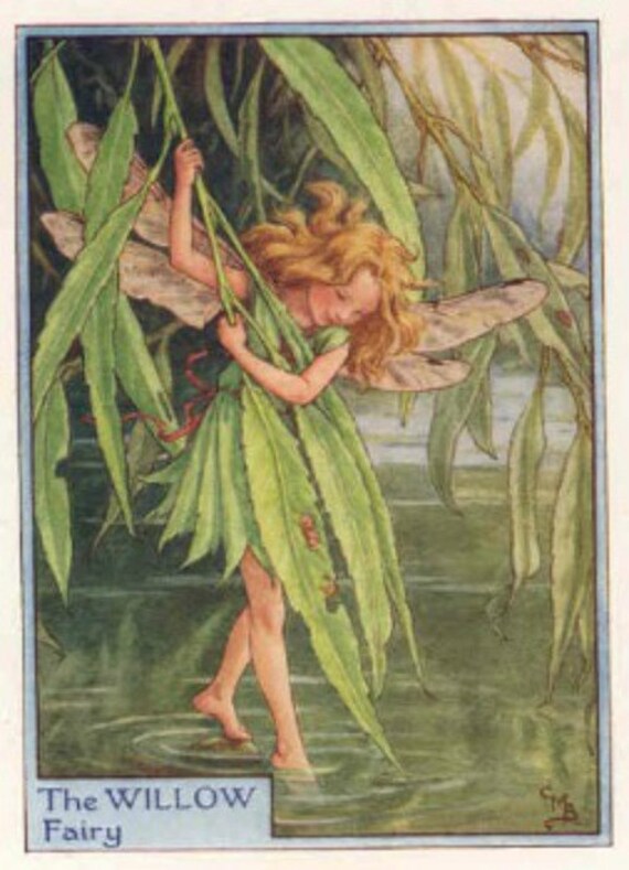 Willow Fairy