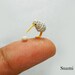 Micro Grey Kiwi With Egg -  Tiny  Crochet Miniature Kiwi Bird  - Made To Order