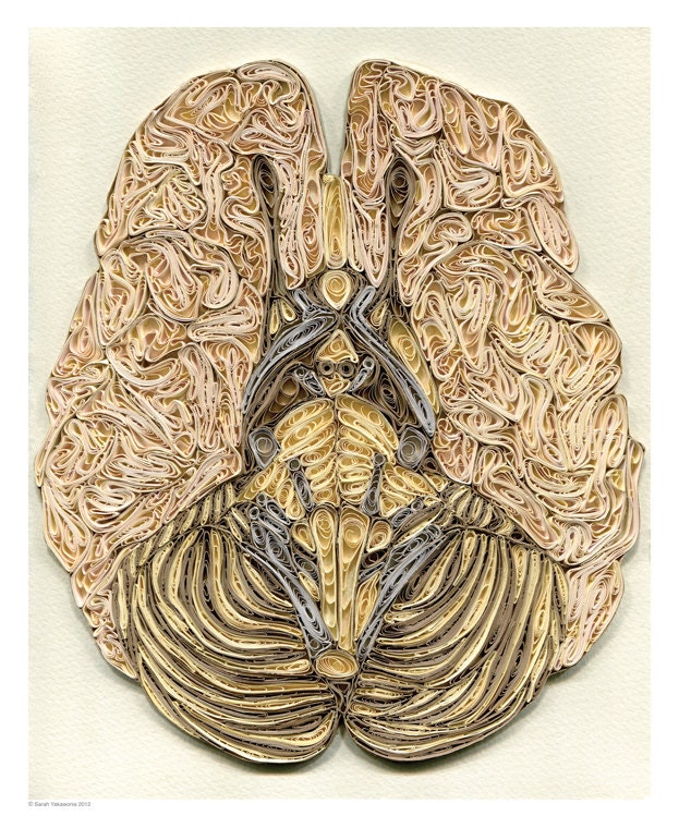 brain poster, Doctor Decor Print, Minimalist goth poster, Color anatomic illustration, Paper art print, quilled poster, 12x14.5