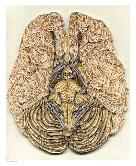 brain poster, Doctor Decor Print, Minimalist goth poster, Color anatomic illustration, Paper art print, quilled poster, 12x14.5