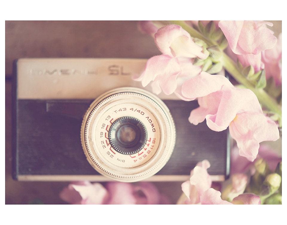 camera flower photo print - whimsical fine art still life photography, pink, flora, lens, russia, shabby chic, vintage inspired - 14x11