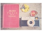 paris fall red leaf camera photo print - whimsical fine art still life photography, nature, , red, orange, nursery wall art - 14x11